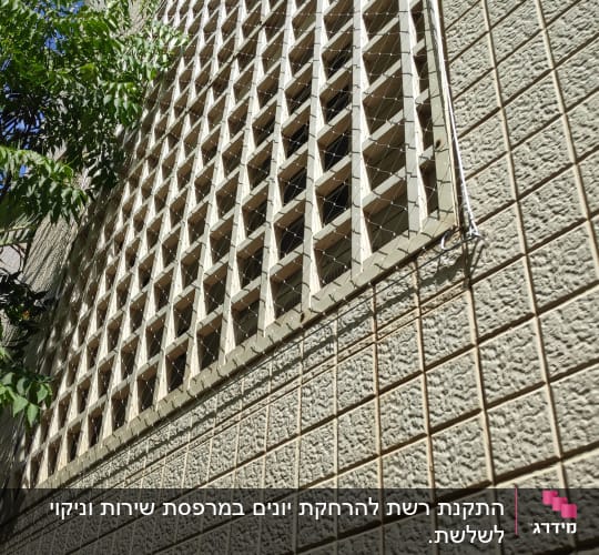רשת למניעת כניסת יונים על קיר בניין